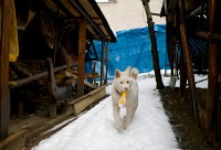 /album/fotogaleria/a27-2-jpg/